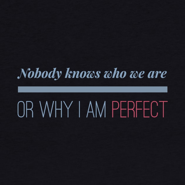 Nobody knows who we are or why I Am Perfect Motivation Inspiration by Cubebox